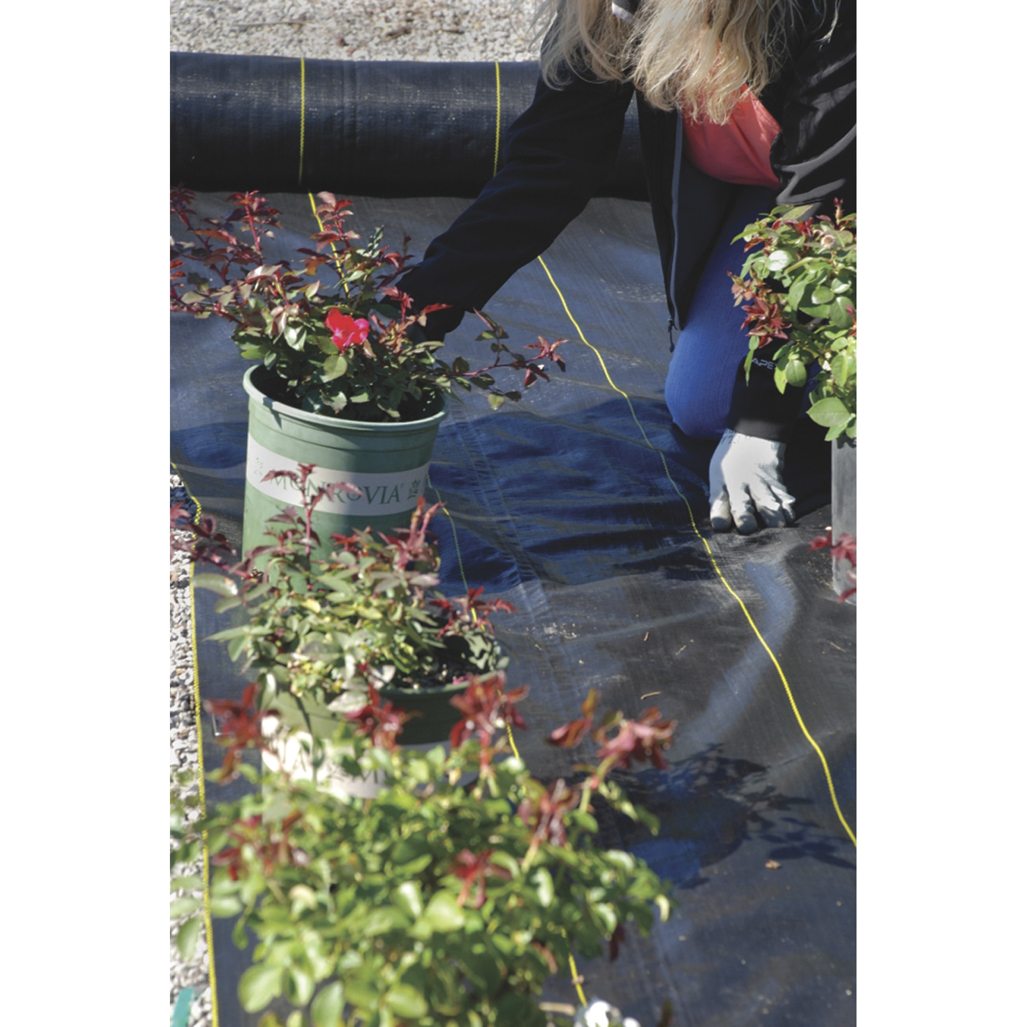 DeWitt Sunbelt Woven Groundcover Fabric, 10ft. x 300ft. Roll, Model# SLT10300